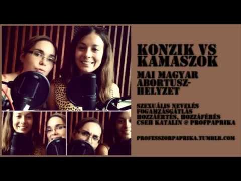 Konzik vs. kamaszok: mai magyar abortuszhelyzet. Cseh Katalin a ProfPaprikában